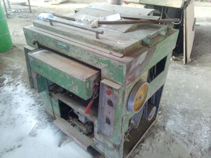 Рейсмуспрода рейсмус польский 60см, фотография 1