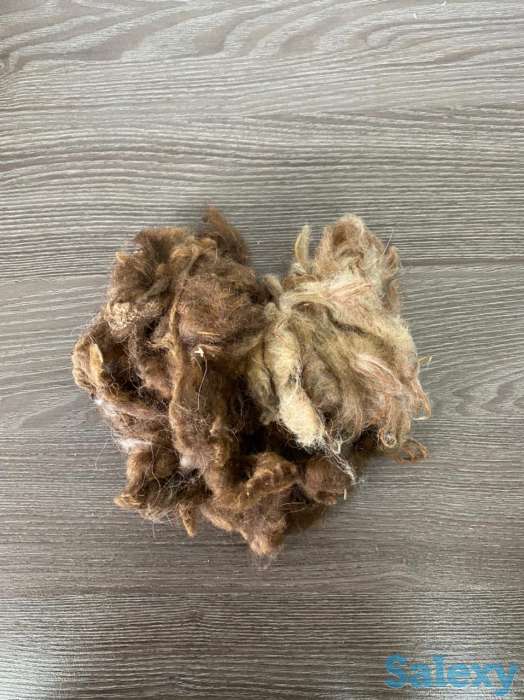 Шерсть овечья, фотография 2