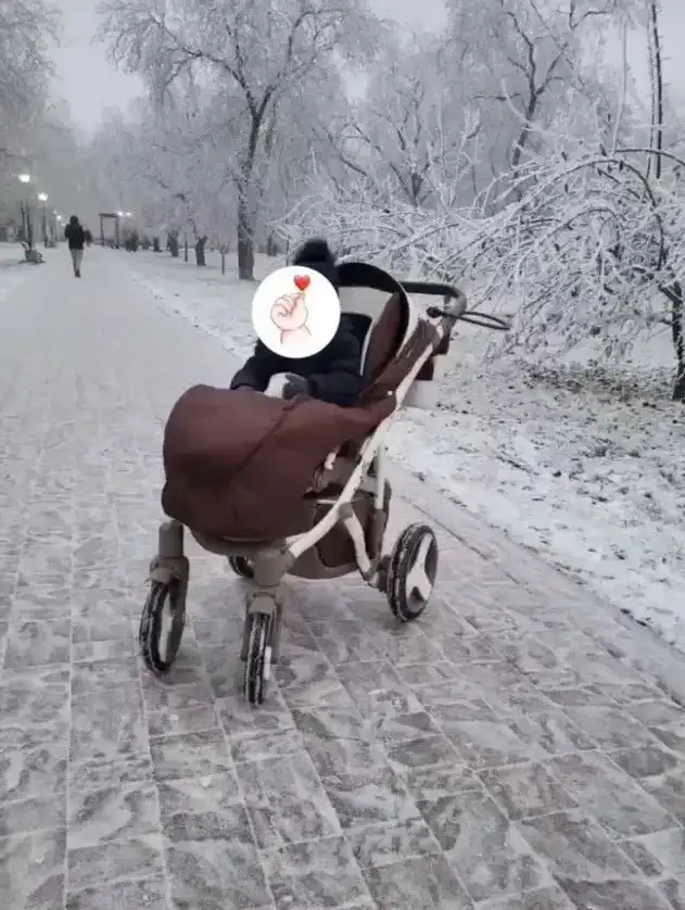 Мен арбаны тегн беремн, фотография 1