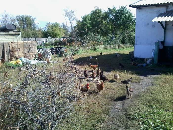 Продам Дом село Урумкай от Щучинска 35км, фотография 5