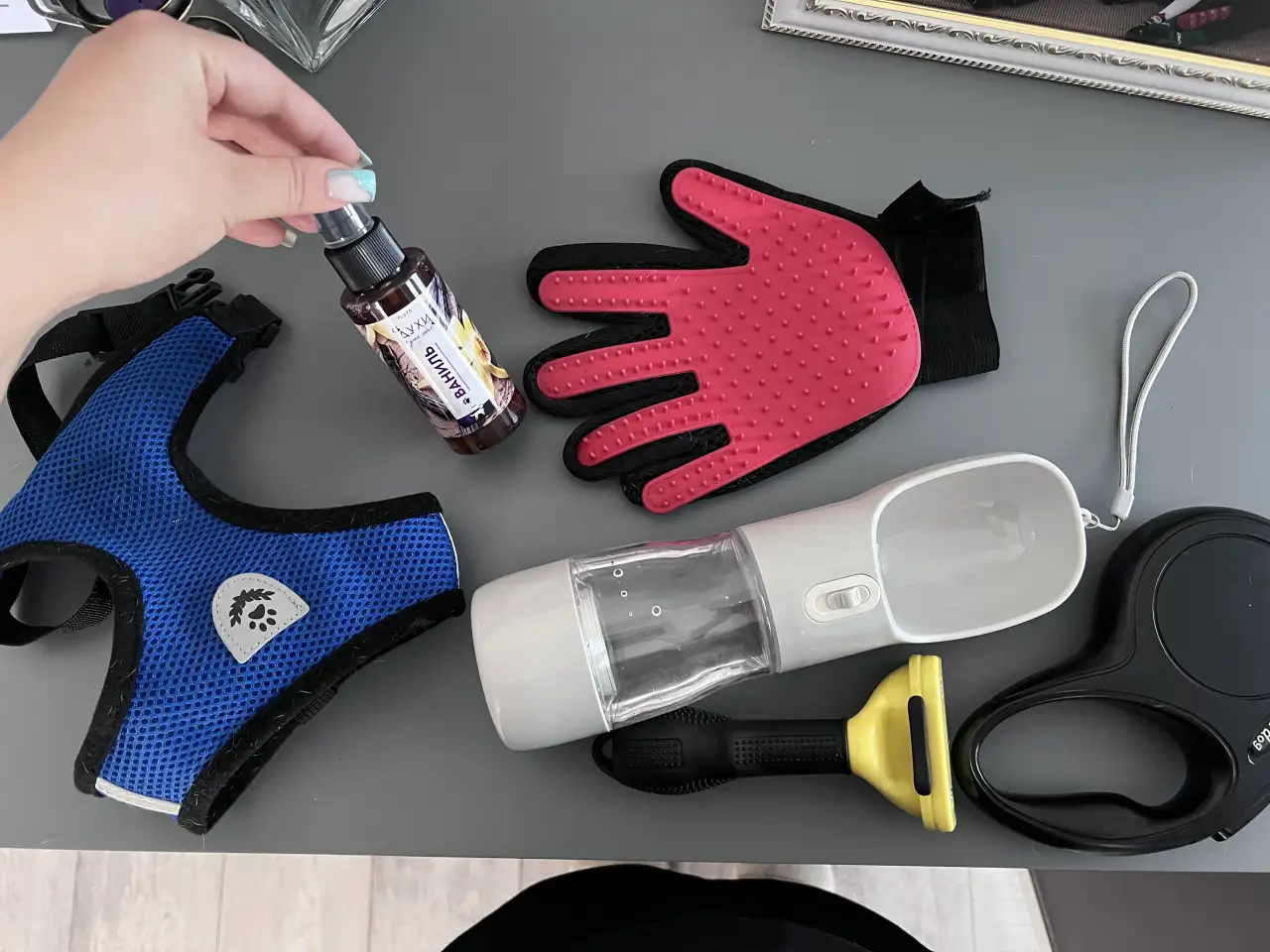 Щенок Французкого бульдога мальчик, 4 месяца, фотография 3