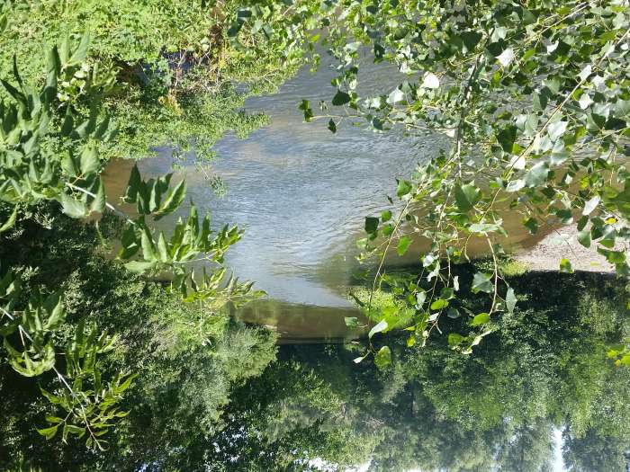 Срочно продам участок с домом на берегу р. Каргала, фотография 4