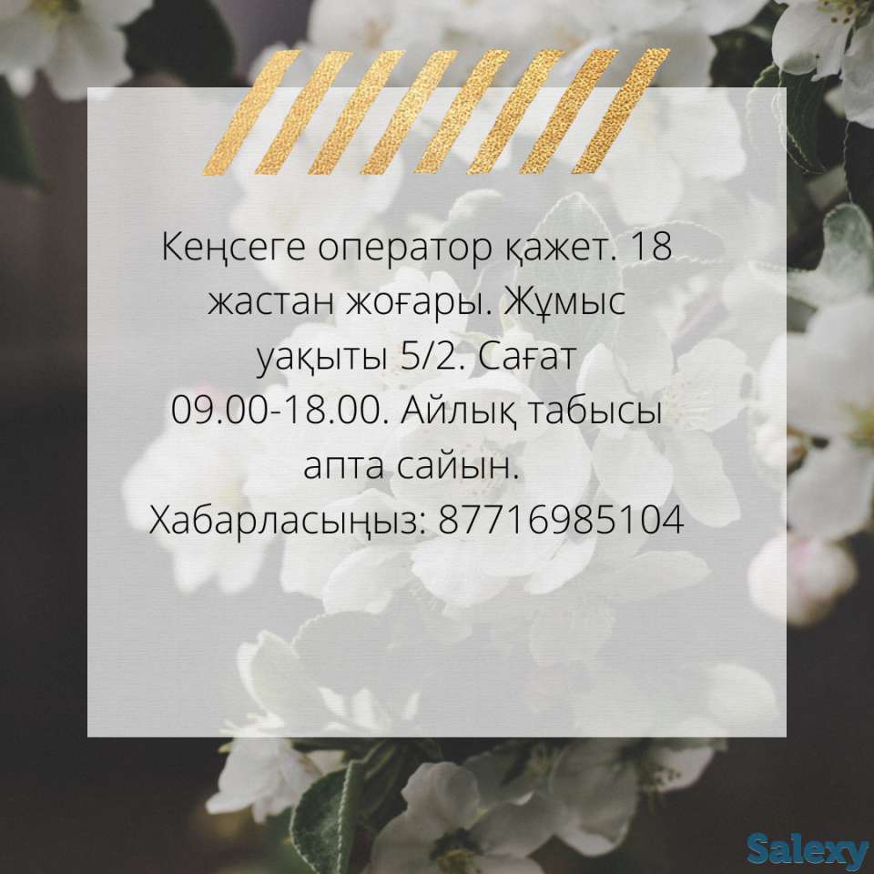 Офиске көмекшілер қажет, фотография 1