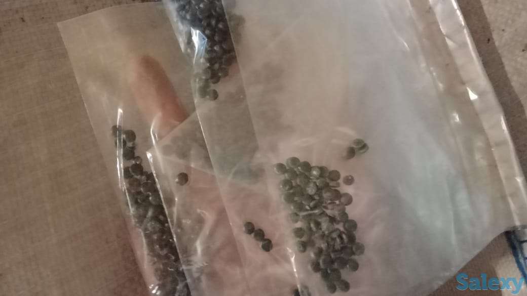 Полипропилен. Вторичные полипропиленовые гранулы, фотография 2