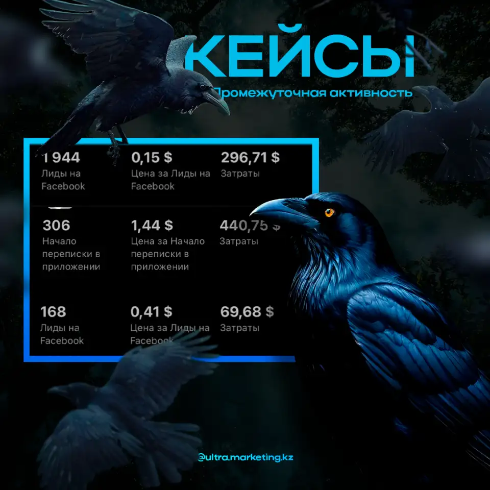 Интернет реклама, Создание сайтов, СММ, Создание контента.SEO, фотография 4