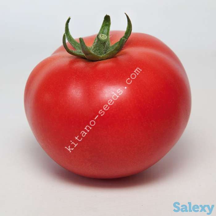 Семена томата KS 21 F1, KITANO SEEDS, фотография 1