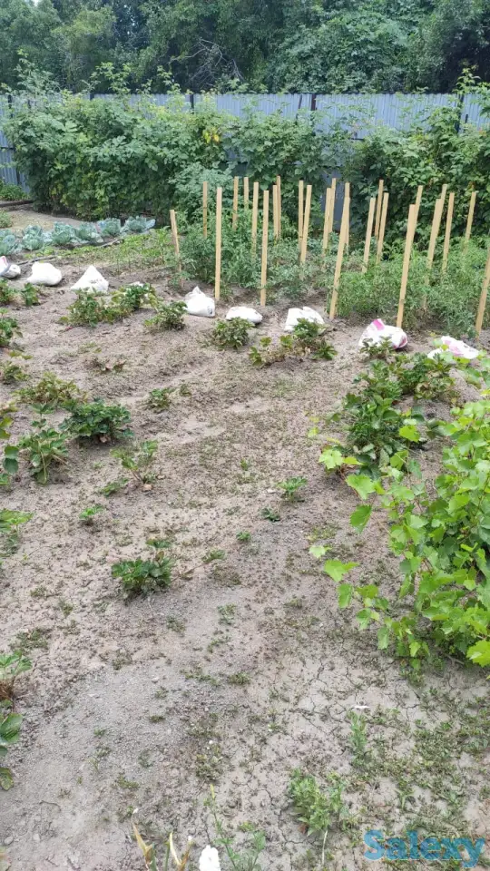 Дача 15 соток, Алматинская область, Талгарский район, с.о. Кендалинский, с. Кендала, с/т Медик-, фотография 20