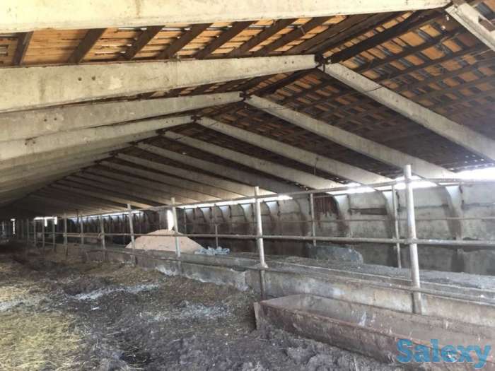 Продам животноводческую базу, С. Айдабол, фотография 1