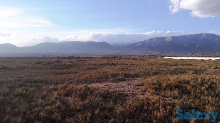 продается земельный участок на берегу оз. Ыссык-Куль(р-н Аэропорта),1,5 га, фотография 5