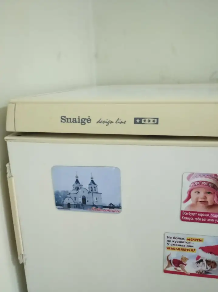 Продам морозильную камеру Snaige, фотография 2