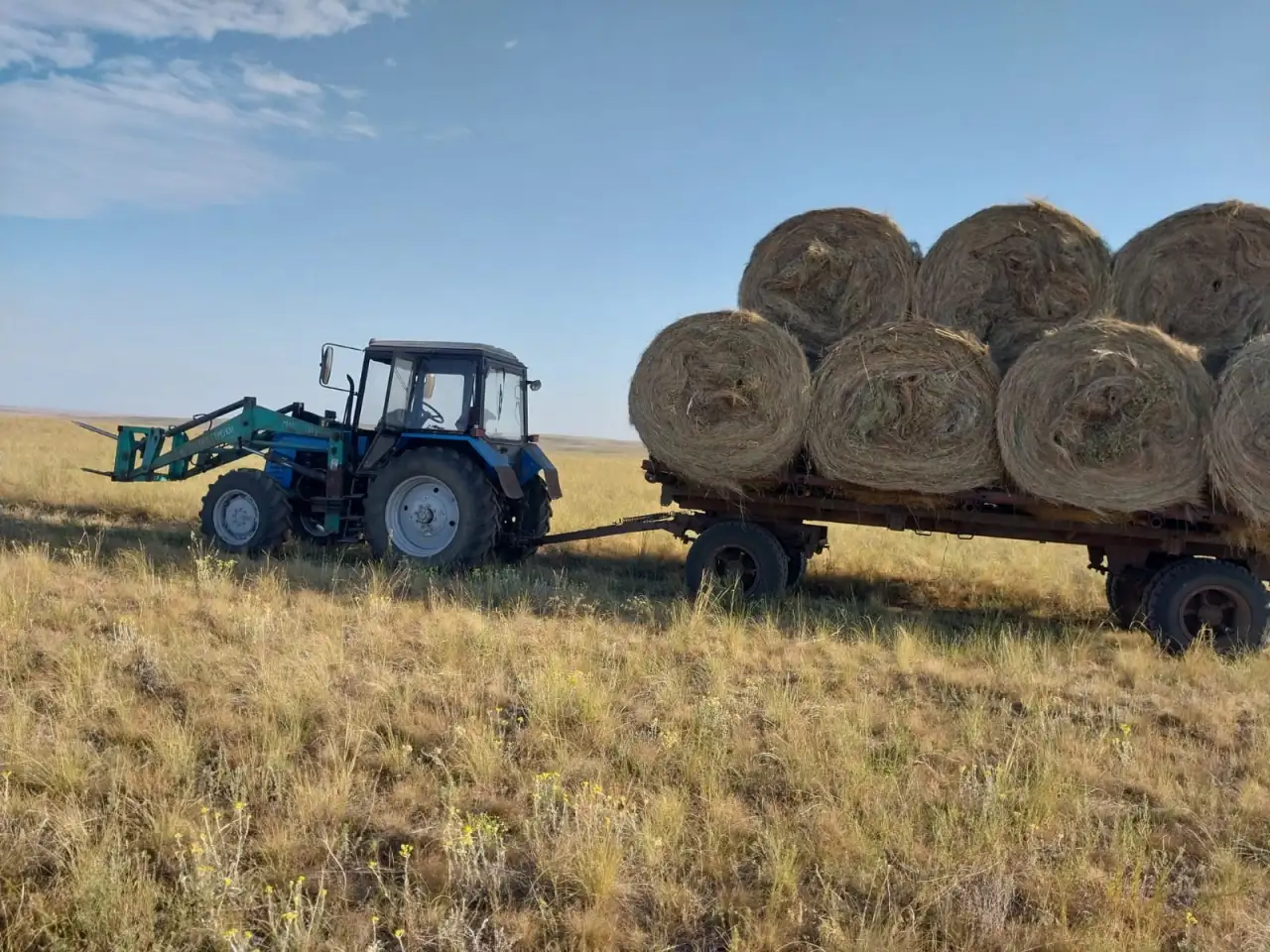 Продам готовое КХ, фотография 12