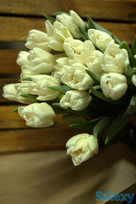 Тюльпаны оптом, фотография 7