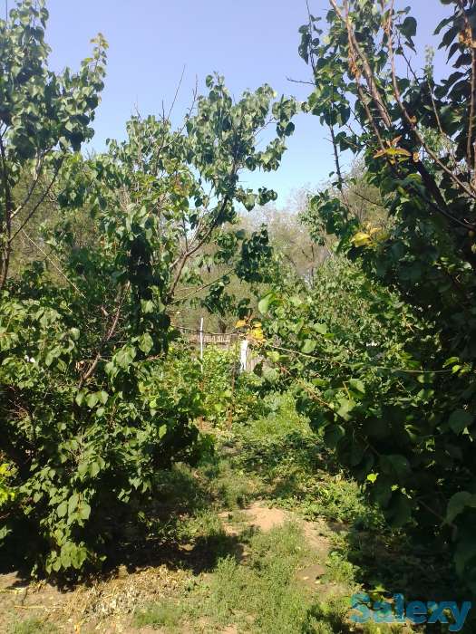 Продается квартира 3-х комнатная 