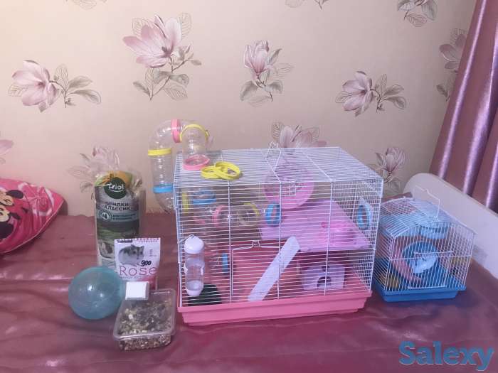 Продам клетка для хомяков 2 -этажный +подарок, фотография 5
