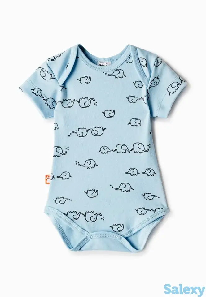 Боди котмаркот, фотография 1