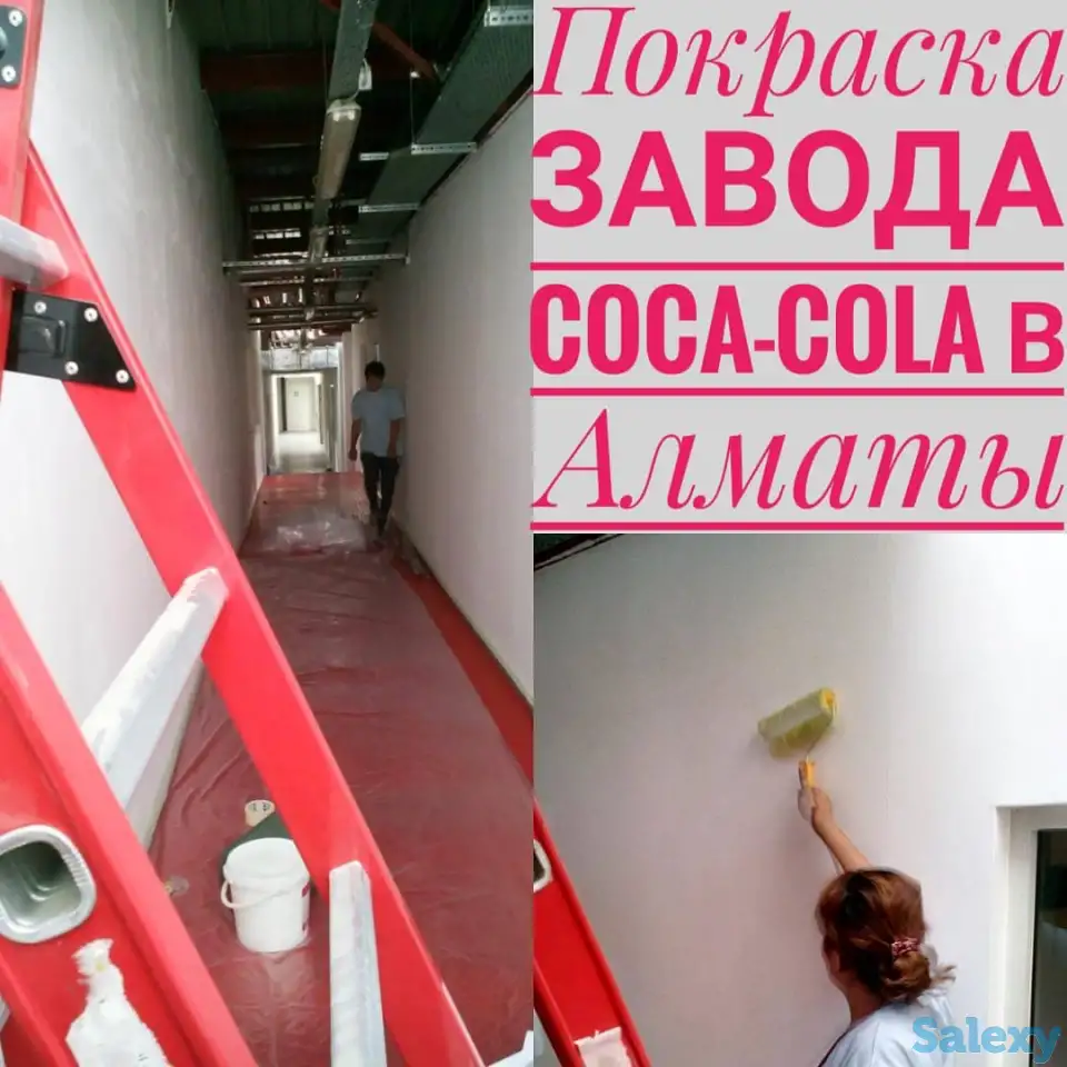 Покраска стен, фотография 13