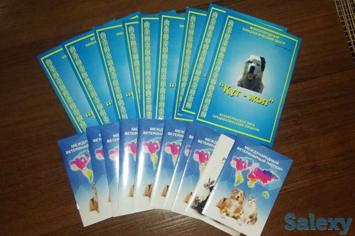 Продам щенков алабая, фотография 1