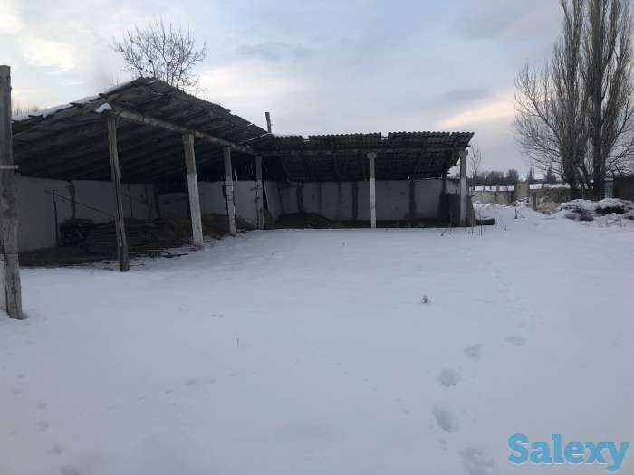 Продам Фазенду, фотография 6