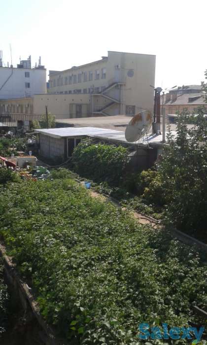 ПРОДАМ ПОМЕЩЕНИЕ В ЦЕНТРЕ ГОРОДА, улица Мира, 52, фотография 4