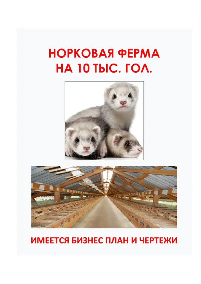 Разработка бизнес идей и новых старт-апов, фотография 1