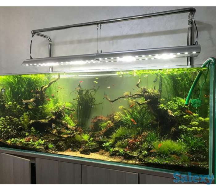 Аквариум изготовление в Алматы, фотография 3