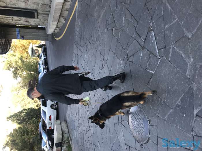 Услуги Охраны, фотография 7