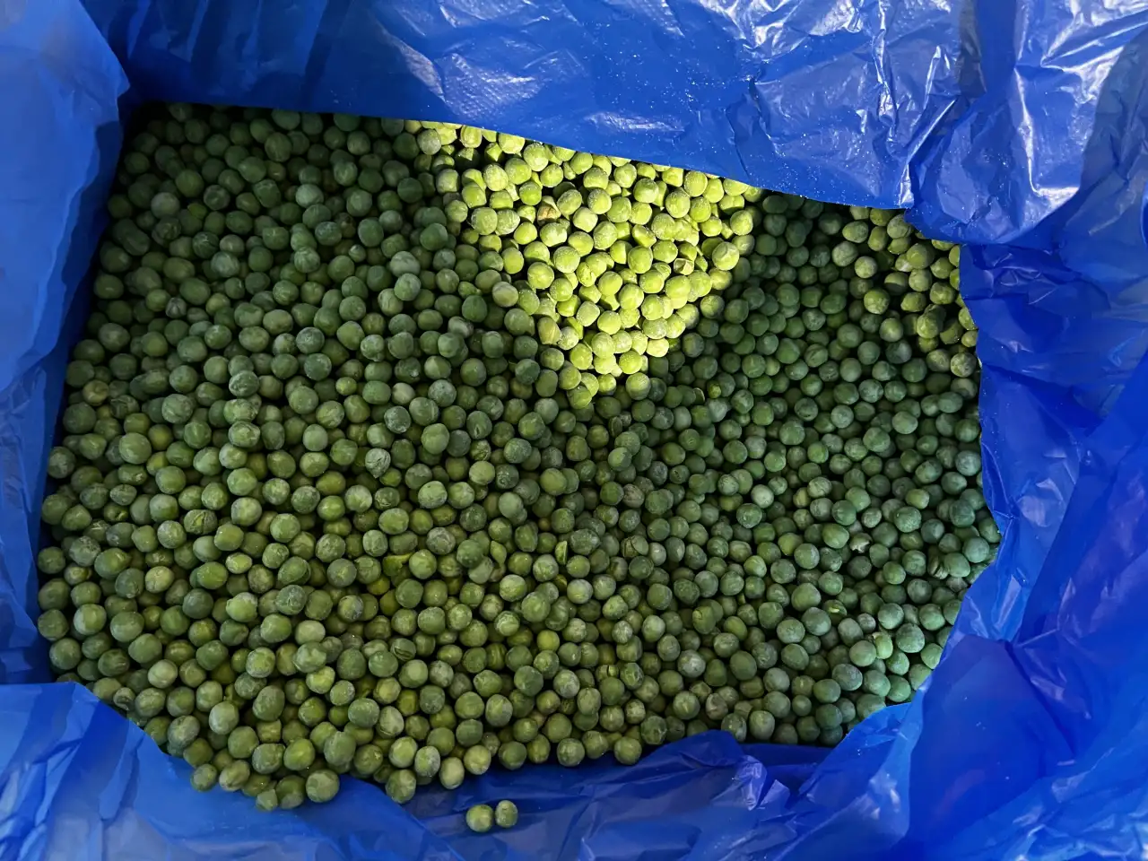 Замороженные овощи и смеси оптомрозницу, фотография 5