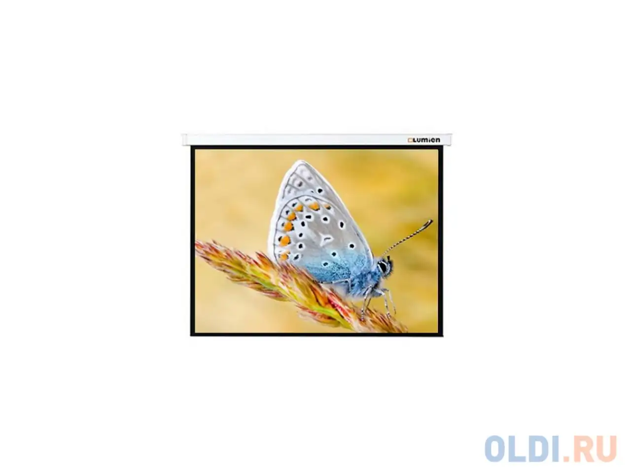 Экран настенный lumien master control 117x200см с электроприводом lmc-100118, фотография 1