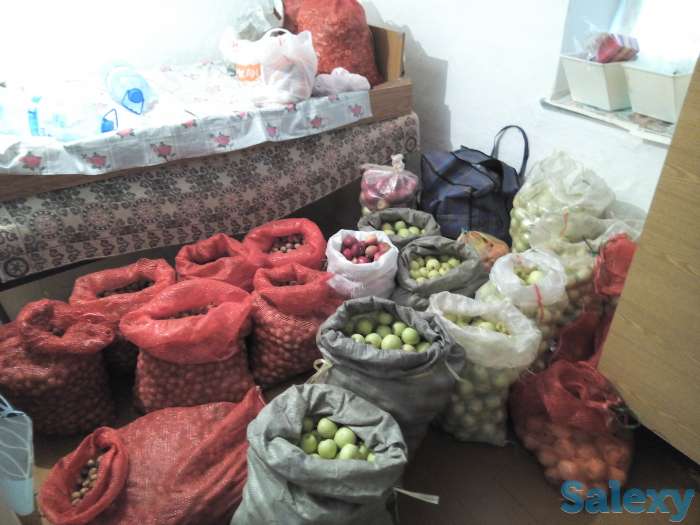 Дом ,30 сот,сад, Всё есть,с Всокое-Вановка,Рай,(Шакпак-Баба), фотография 9