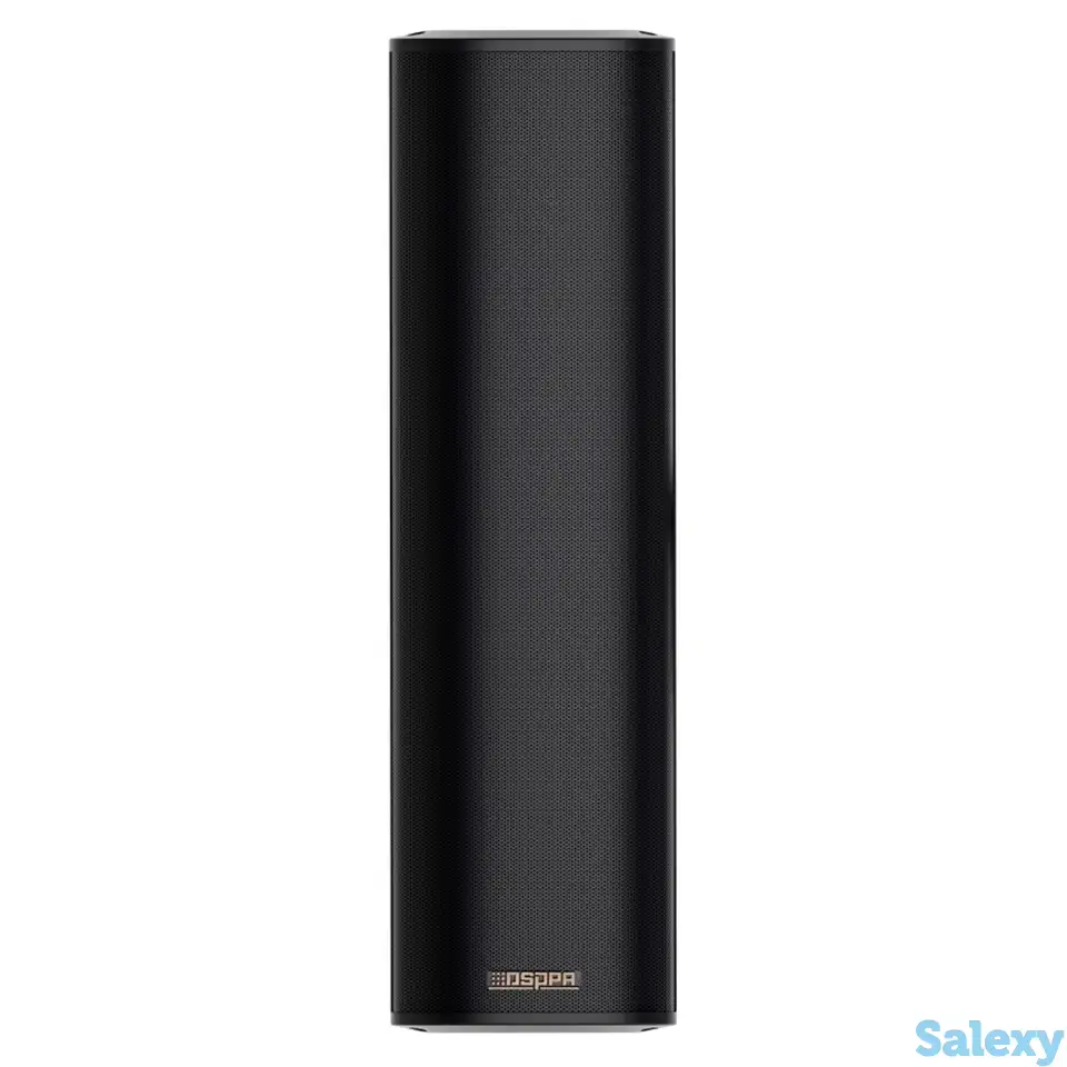 Всепогодная звуковая колонна dsppa dsp255ii b, фотография 1