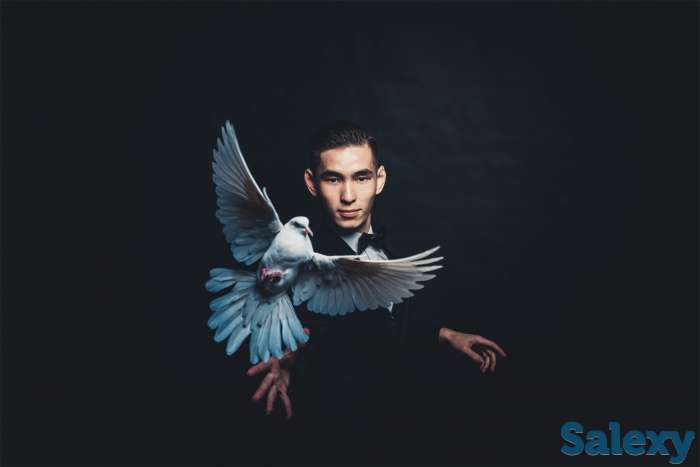 Заказать лучшего фокусника в Казахстане на Вашу свадьбу - Чингиса Ибрагима (Участие на 3 ТВ прграммах), фотография 3