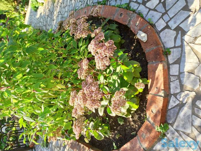 Продаем дом, фотография 9