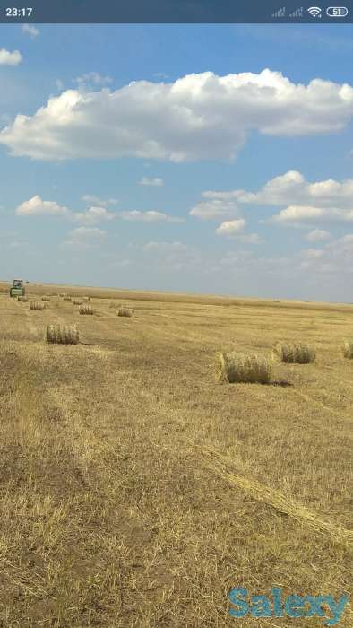 Продам сено в рулонах, фотография 1