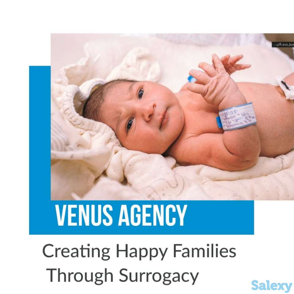 В международную компанию ISCV срочно требуется, фотография 4