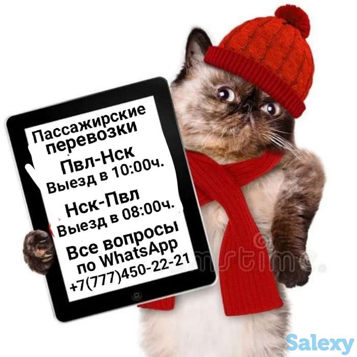 ПАССАЖИРСКИЕ ПЕРЕВОЗКИ Павлодар-Новосибирск-Павлодар, фотография 2