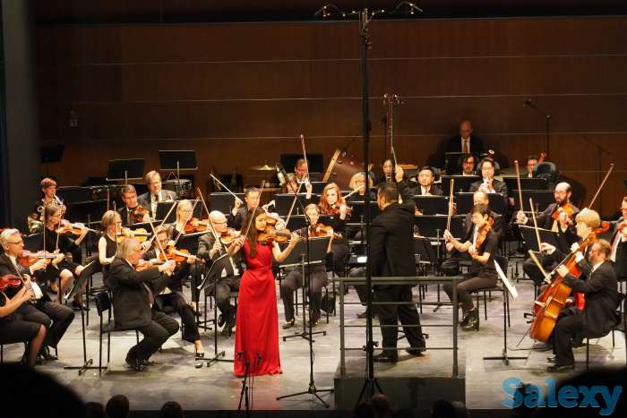 Учитель скрипки, фотография 1