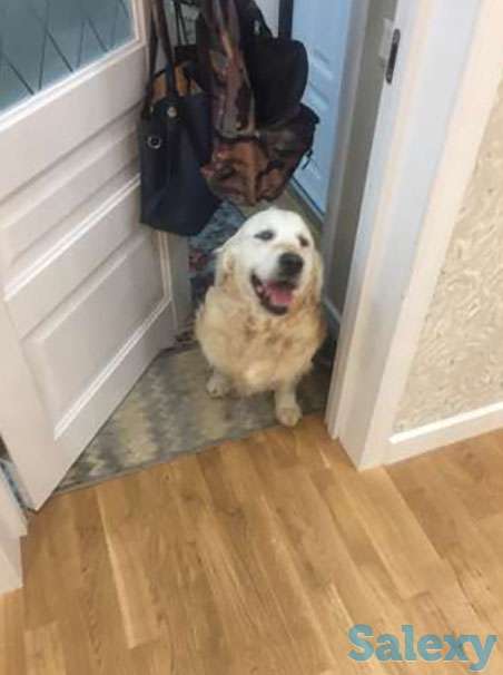 Бесплатно, фотография 1