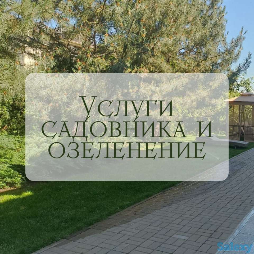 Услуги садовника и озеленение, фотография 5