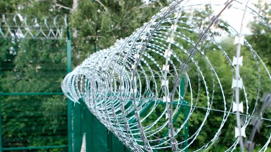 СББ Егоза - колючая проволока, фотография 2