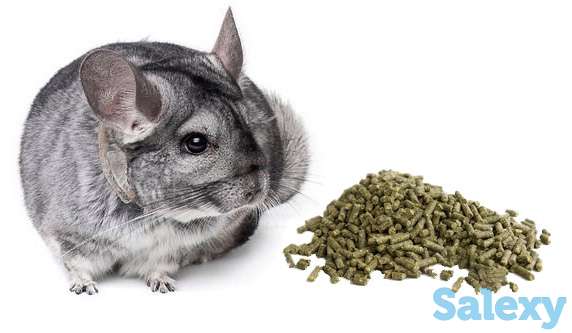 Профессиональные корма для шиншилл от нашей фермы, фотография 2
