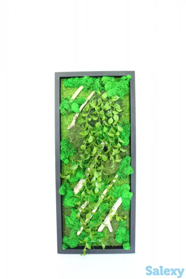 Картины из стабилизированного мха, фотография 3