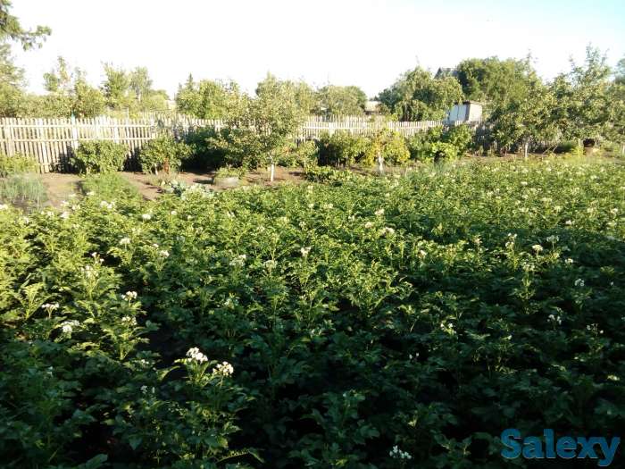 Продам дачу!, фотография 3