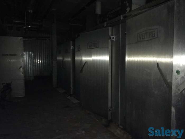 Камера горячего копчения и варки Vemag, фотография 11