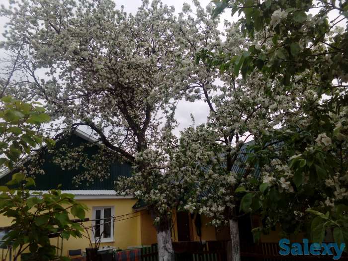 Продаю дом в г,Самара, Самарская обл, Красноярский р-н ПГТ Новосемейкино, фотография 3