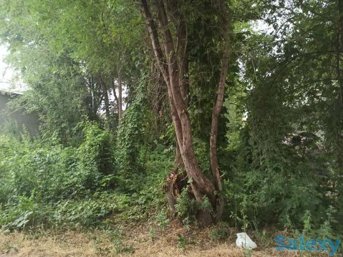 Продам участок, фотография 7