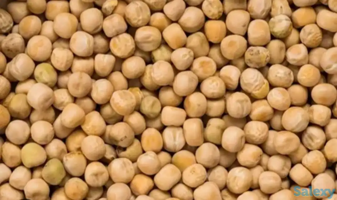 Горох фуражный, фотография 2