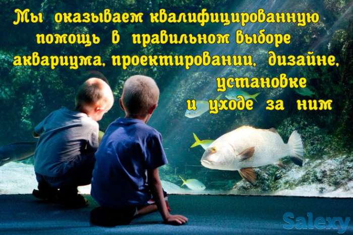 Аквариумы (биотопы). Дизайн, Изготовление, Обслуживание, Уход., фотография 6