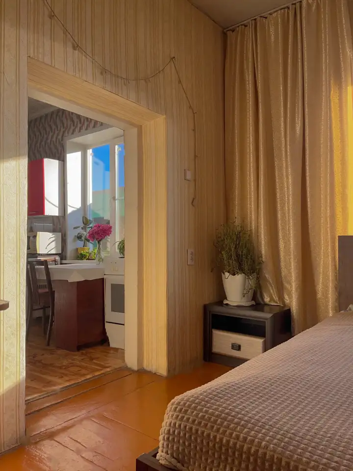 Продам уютный двор в черте города, Ул. Бажова д.163А, фотография 9