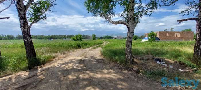 Cрочно продам участки в поселке Алмалыбак, фотография 1