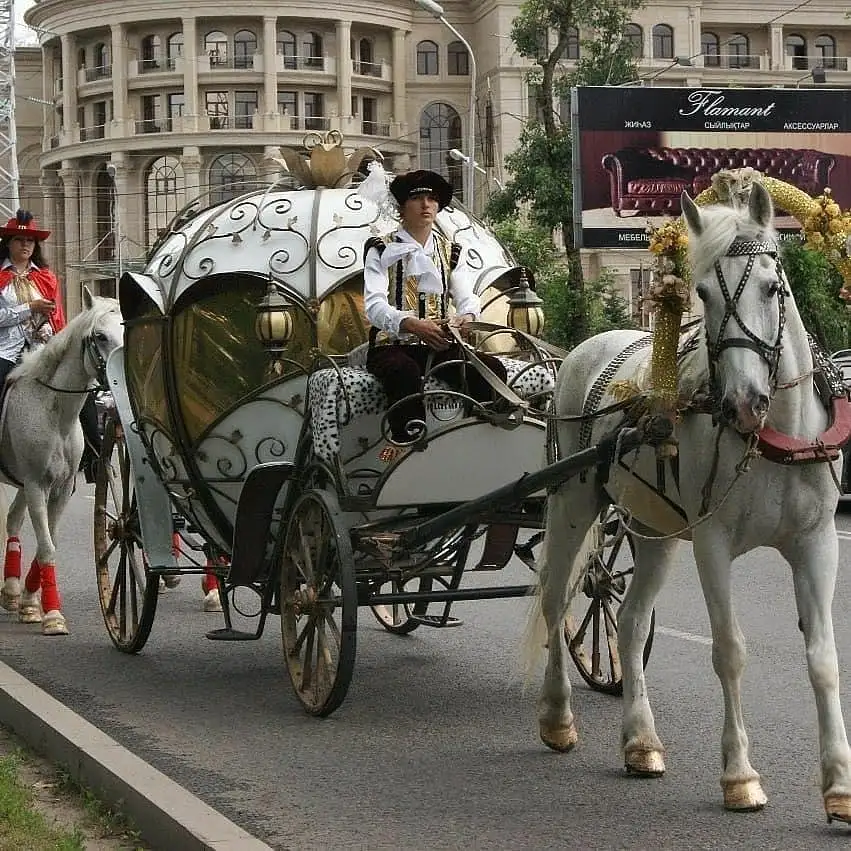 Сани кареты, фотография 6